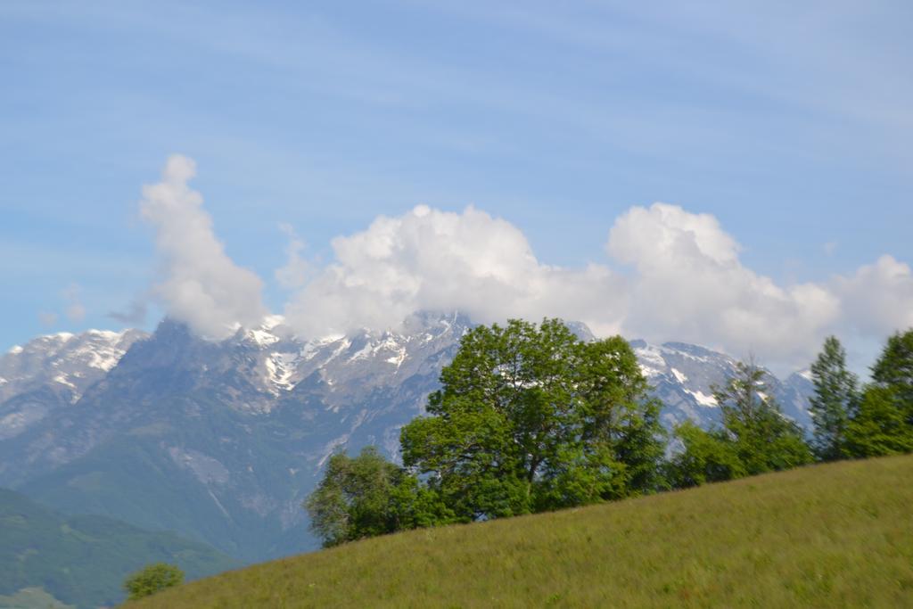 Frühstückspension Steinerhof Werfenweng Exterior foto